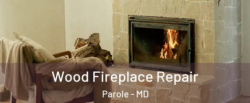  Wood Fireplace Repair Parole - MD