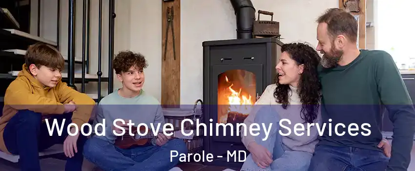  Wood Stove Chimney Services Parole - MD
