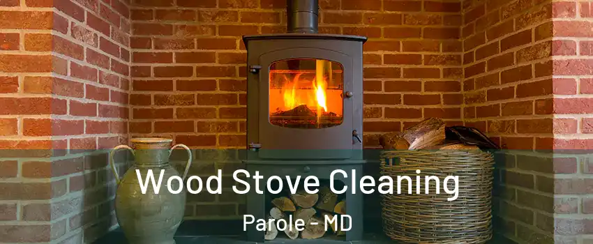  Wood Stove Cleaning Parole - MD